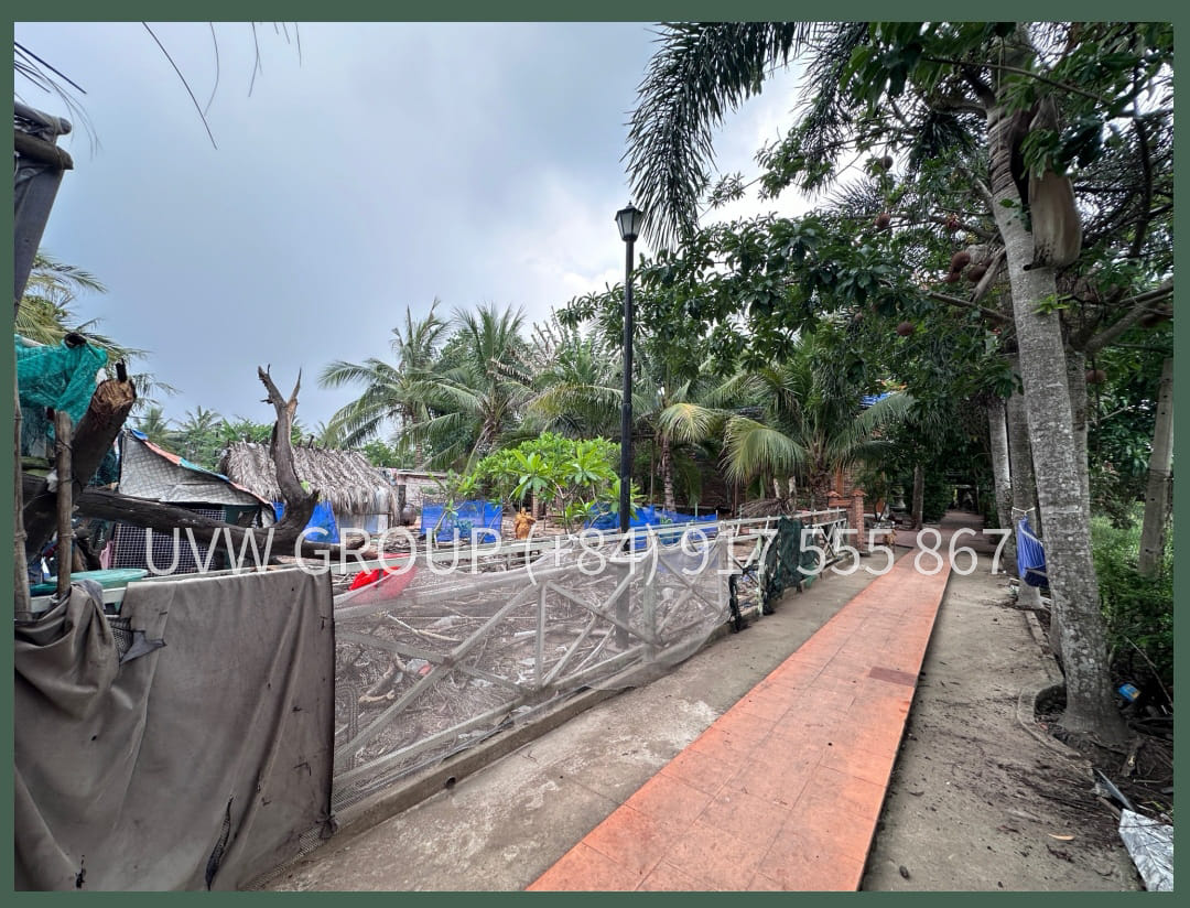 Bán Nhà Vườn Tân Quy Tây, Bình Chánh | 1.760m2 | 274.000 USD | Sổ Hồng 12