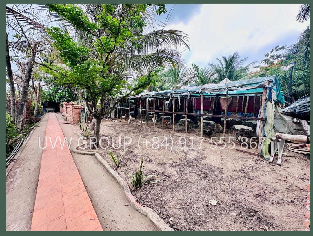 Bán Nhà Vườn Tân Quy Tây, Bình Chánh | 1.760m2 | 274.000 USD | Sổ Hồng 2