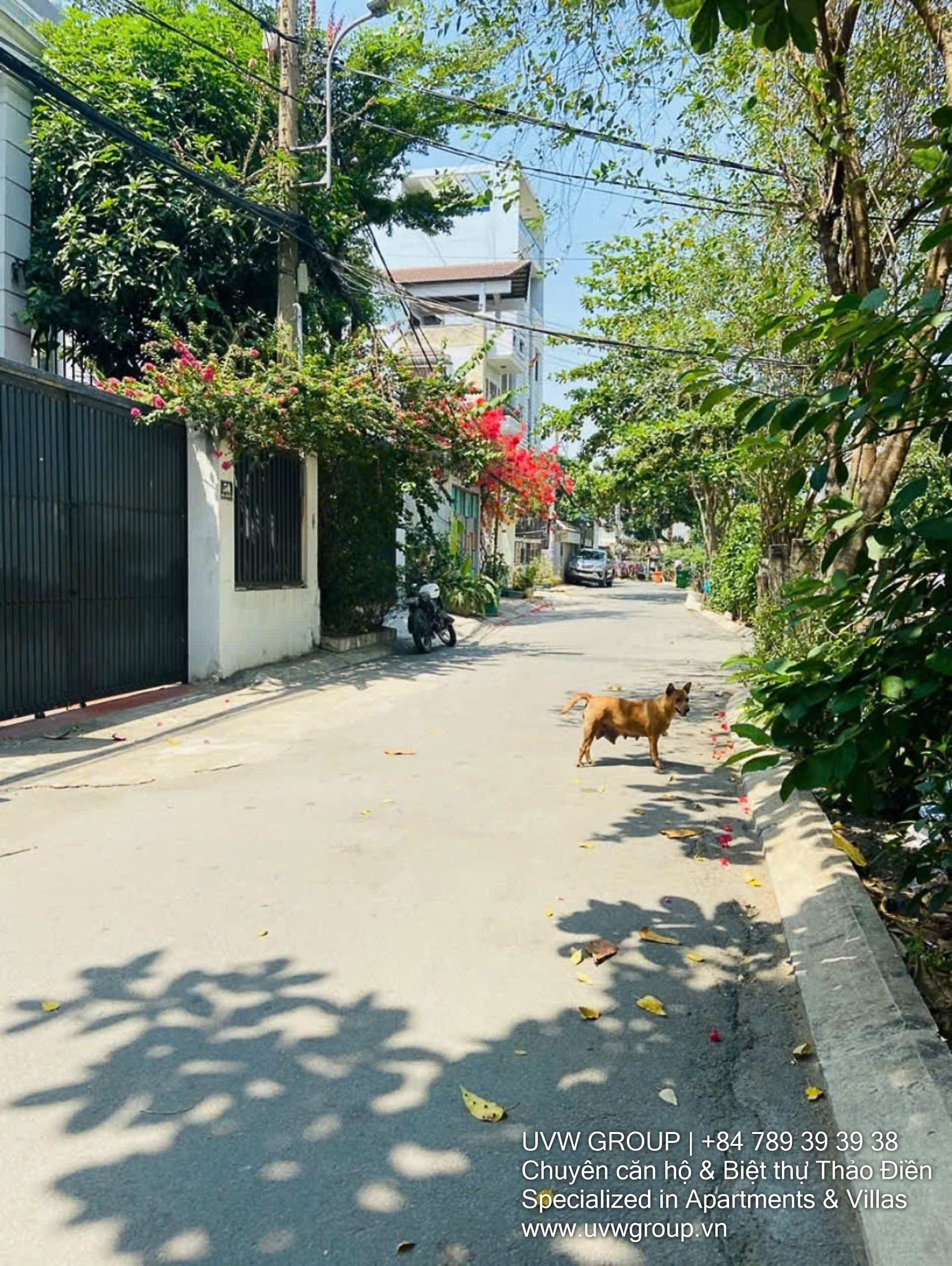 House for Sale in Thao Dien District 2 | 133.4m² | 3BR | Solid Build | 20 Bilion VND image 7
