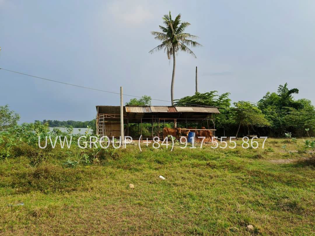 Land for Rent on Long Phuoc Street, District 9 | 3.5 Hectares | $25,000 image 9