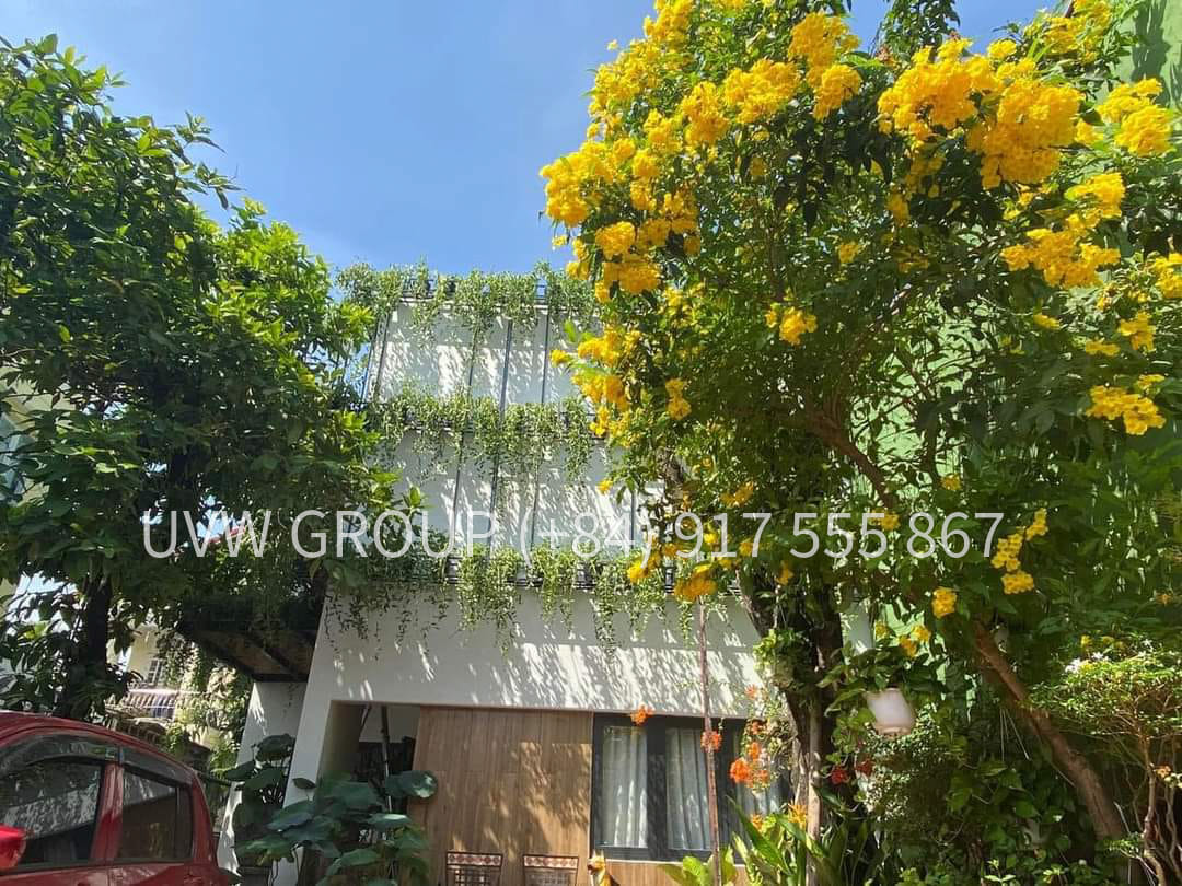 Modern House for Sale in Tan Phu, District 9 | 230m² | Garden | VND 12 Billion 13