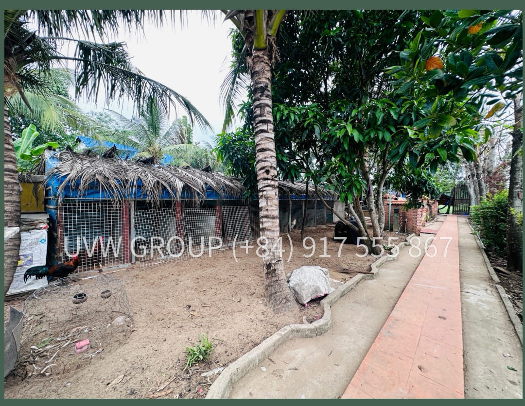 Bán Nhà Vườn Tân Quy Tây, Bình Chánh | 1.760m2 | 274.000 USD | Sổ Hồng image 4