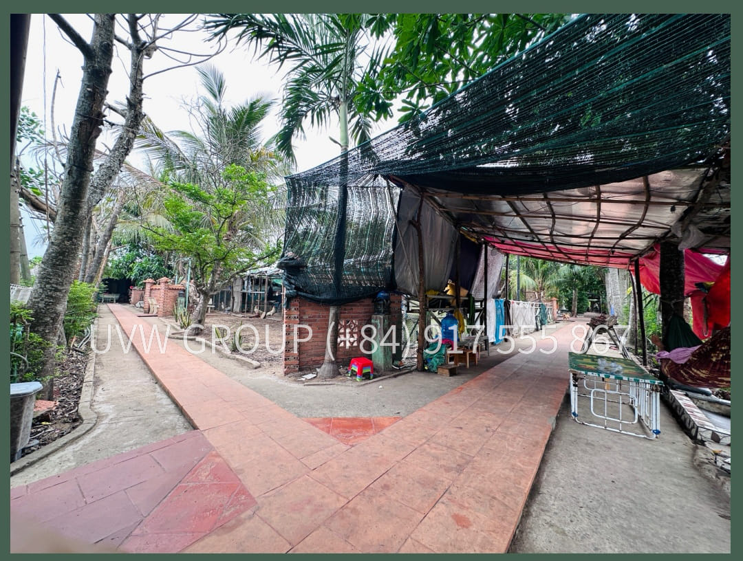 Bán Nhà Vườn Tân Quy Tây, Bình Chánh | 1.760m2 | 274.000 USD | Sổ Hồng image 8