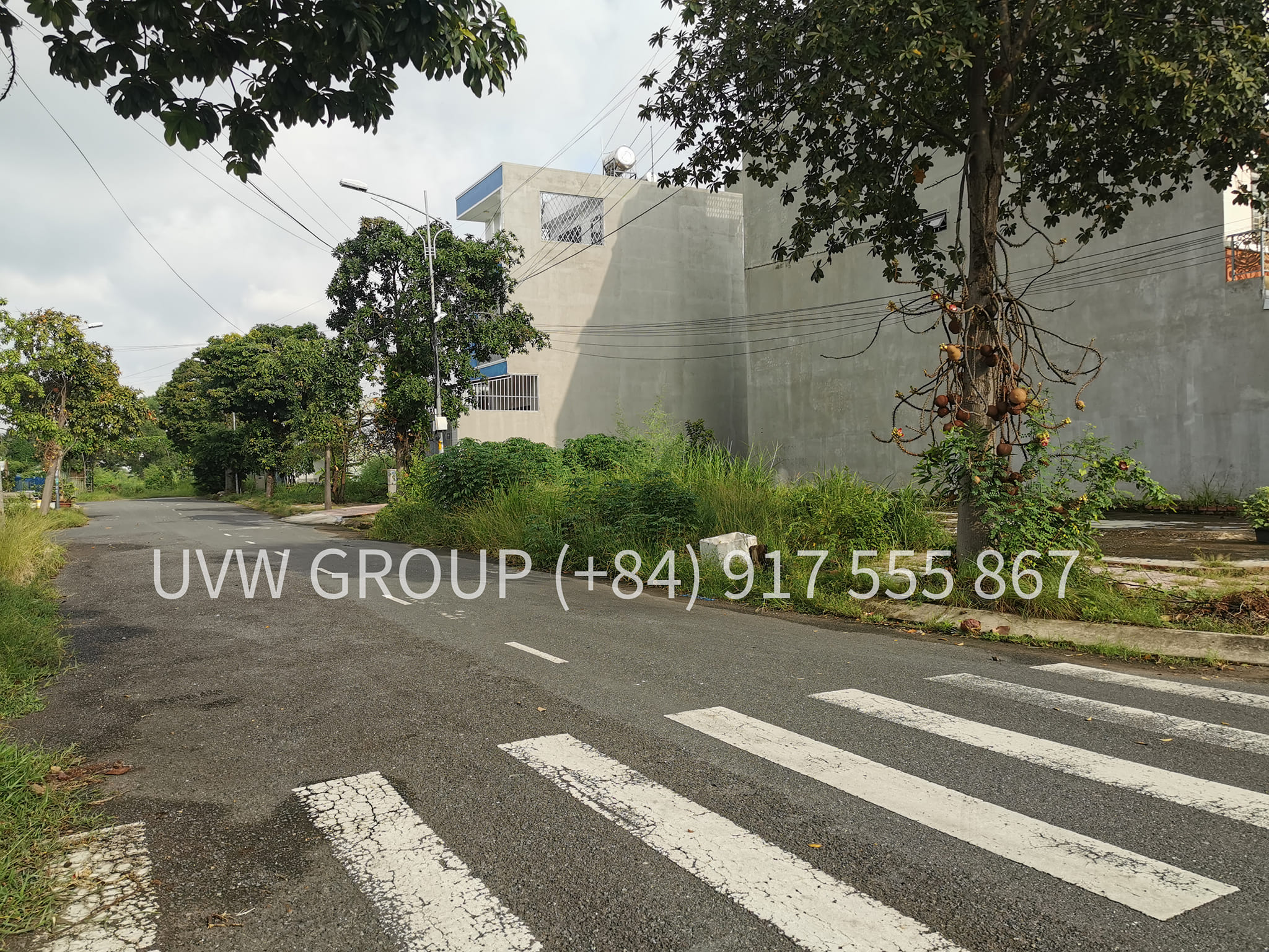 Urgent Sale – Residential Land in Long Truong Ward, District 9 | 710m² | 29 Billion VND image 3